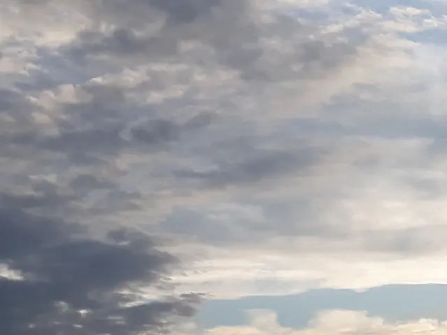 Foto: ELISABETH WEBER