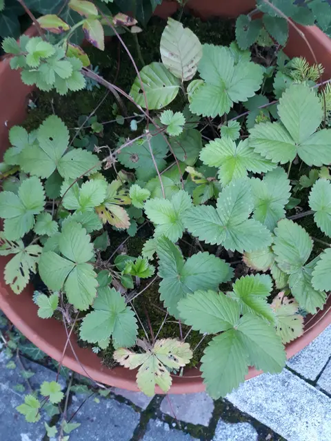 Foto: ELISABETH WEBER