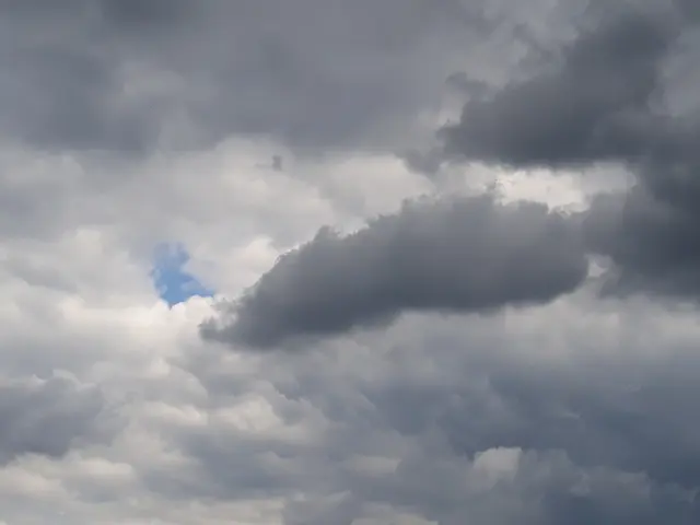 Foto: ELISABETH WEBER