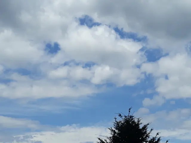 Foto: ELISABETH WEBER