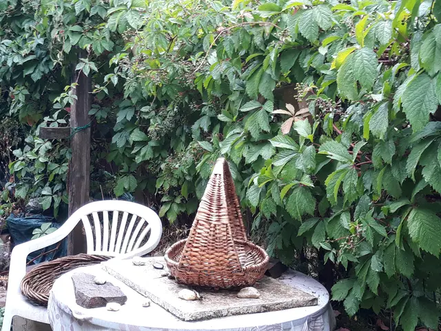 Foto: ELISABETH WEBER