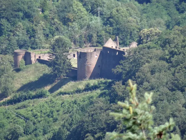 Die Hardenburg vom Rahnfels aus | Foto: Ich