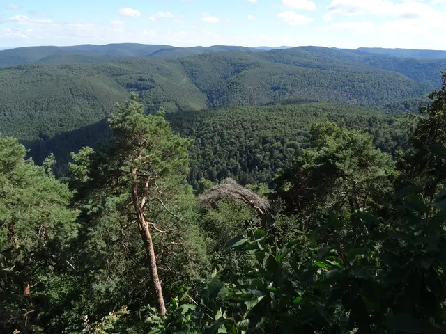 Blick nach Süden vom Rahnfelsen | Foto: Ich