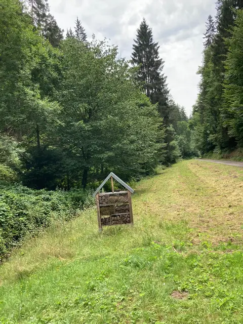 Insektenhotel an der Wolfsschluchthütte | Foto: Ich