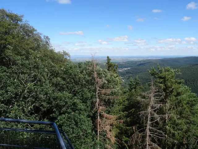 Blick nach Osten vom Rahnfelsen | Foto: Ich