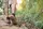 Wandern Symbolbild | Foto: Tinnakorn/stock.adobe.com