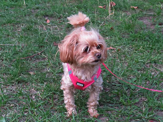 Foto: Brigitte Melder