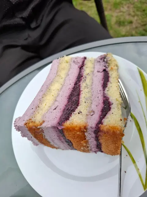 Solche riesigen Tortenstücke gab es auf den Teller | Foto: Brigitte Melder