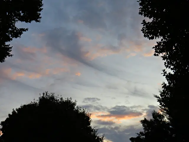 Foto: Brigitte Melder