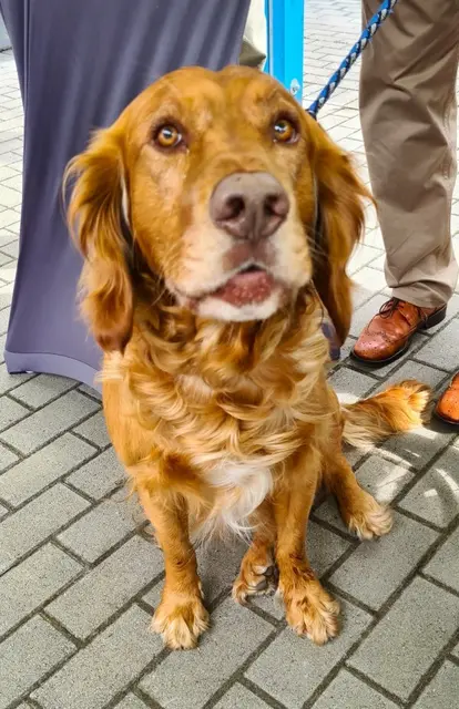 Foto: Kiz LU