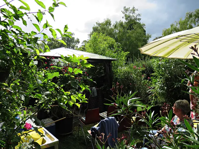 Foto: Brigitte Melder