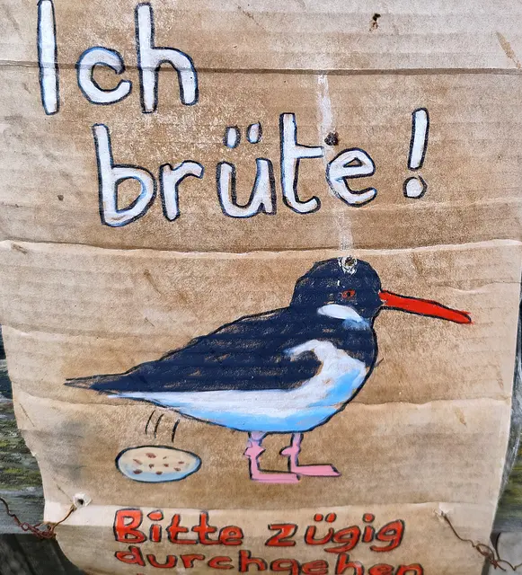 Foto: Michael Bartholomaeus