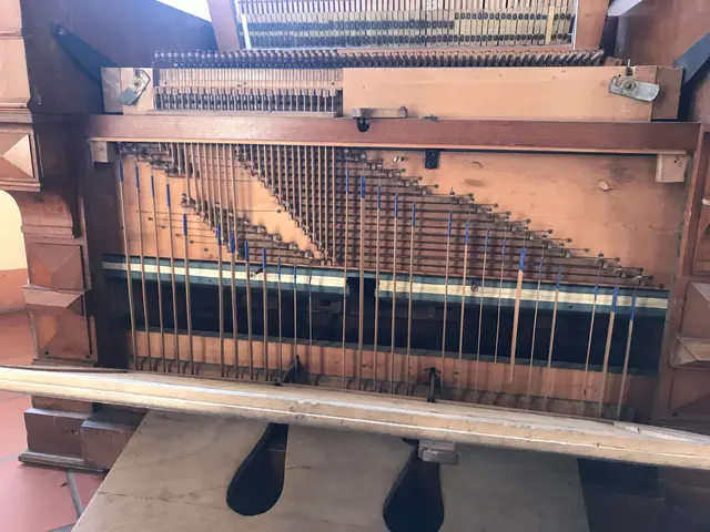 Elmsteiner Pedalharmonium von 1906 | Foto: Loschky