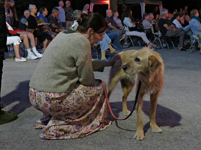 Mein persönlliches Motiv des Abends: Frida | Foto: Brigitte Melder
