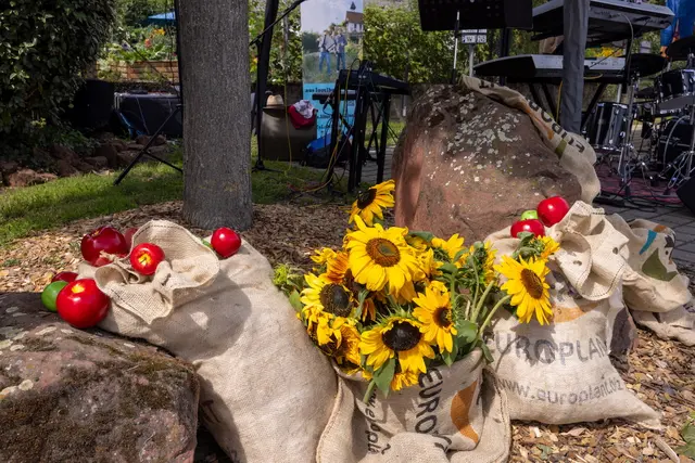 Foto: Johann-Peter Melder