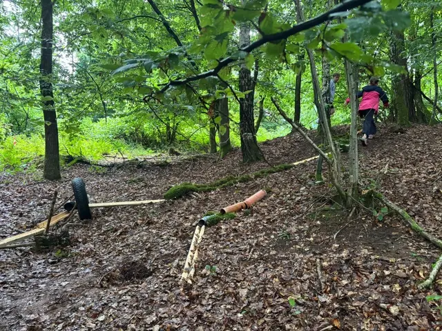 Waldkugelbahn | Foto: Christine Gortner