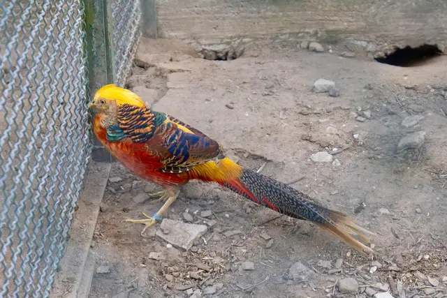 Foto: Johann-Peter Melder