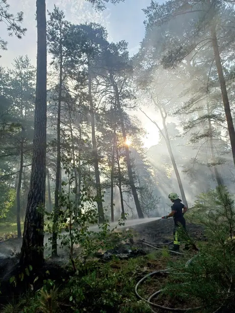 Foto: Feuerwehr Haßloch