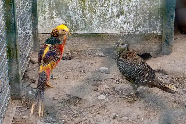 Foto: Johann-Peter Melder