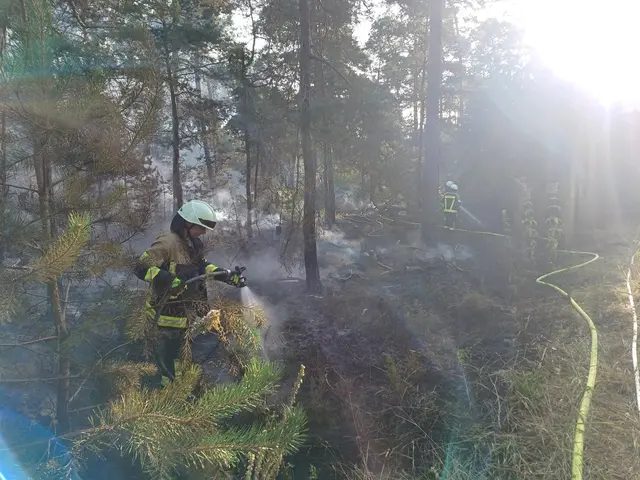 Die Wehr rückte mit acht Fahrzeugen und 32 Kräften aus. | Foto: Feuerwehr Haßloch
