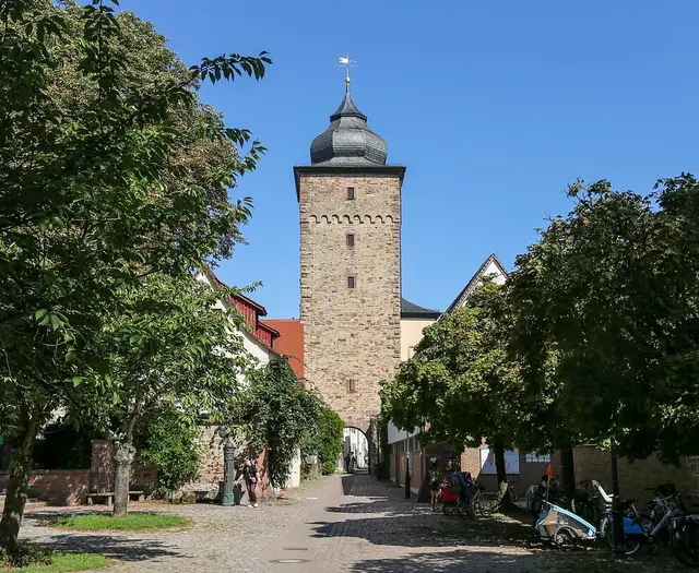 Die Bäume - hier zum Beispiel am Basler Tor in Durlach - spenden Schatten. | Foto: Stadt Karlsruhe, Sabine Enderle