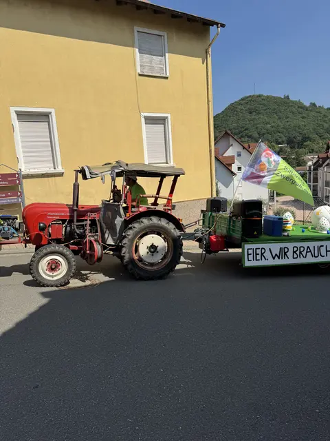 Porsche Standard mit Matthias Enders Sitters  | Foto: Mohr Arno