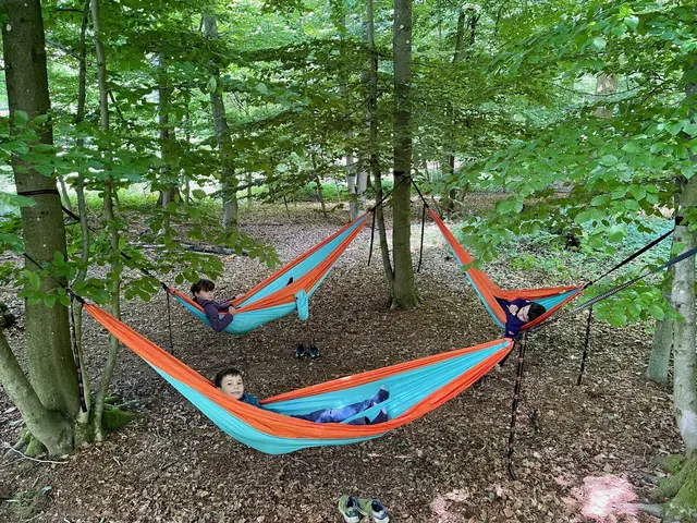 Chillen in der Hängematte | Foto: Landesforsten RLP.de / Yvonne Limpert