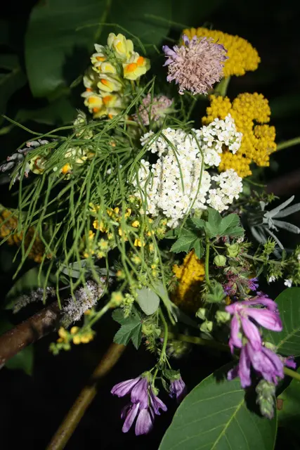 Kräutersträußchen | Foto: Schäfer