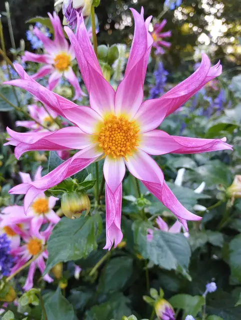 Foto: Stefanie Kaufmann