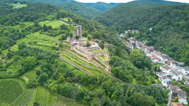 Die Wachtenburg: Der „Balkon der Pfalz“. Vier Tage wird den Besuchern beim Burgfest 2025 ein Genuss für alle Sinne geboten.  
                                                                                                             | Foto: Förderkreis Wachtenburg