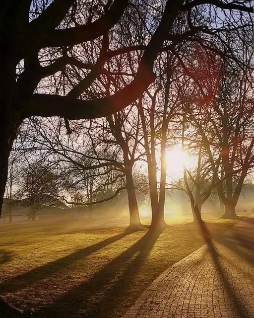 Die Aufnahme belegte den 2. Platz | Foto: Hans-Jürgen Ehlers