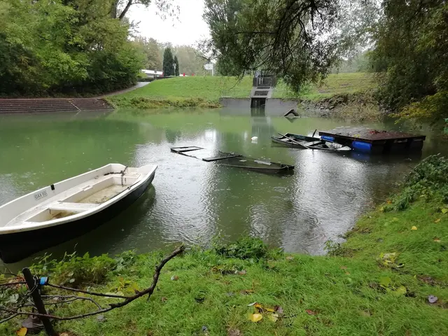 Retentionsfläche in Karlsruhe: Bei hohen Rheinpegeln wird die Schleuse geöffnet , die dahinter liegenden Auen geflutet.  | Foto: Julia Glöckner
