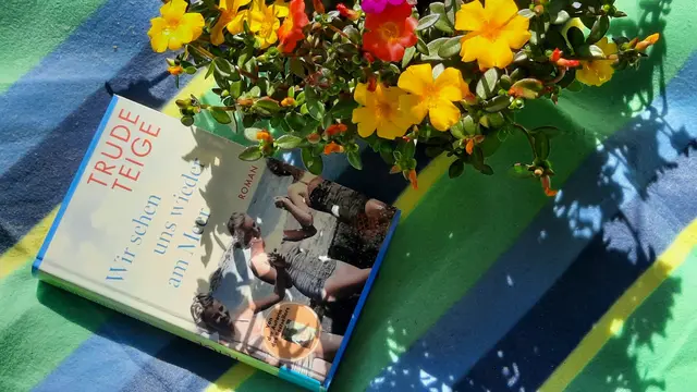 Lesetipps | Foto: Kristin Hätterich