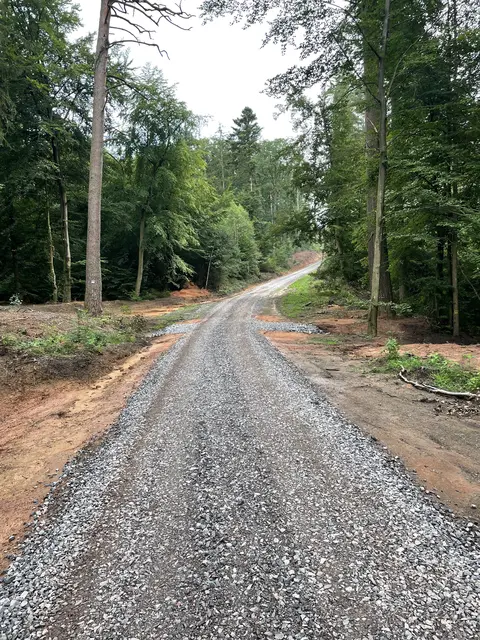 Waldwegebau in Johanniskreuz | Foto: Landesforsten.RLP.de/A.Grehl/gratis