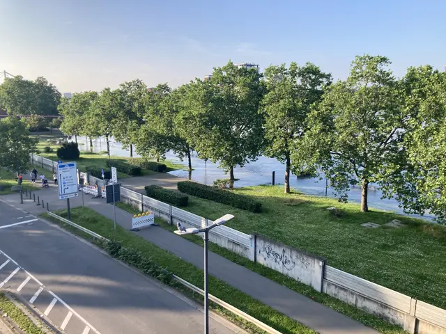 Wie hoch der Hochwasserscheitel im Juni 2024 wird, konnte niemand genau voraussagen. Dammbalken schützen die Innenstadt auch vor künftigen Hochwassern. Bei erwarteter Überspülung rückt die Feuerwehr mit Sandsäcken aus, um weiter entlegene Gebäude zu schützen.  | Foto: Anouar Touir