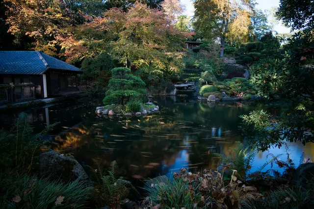 Japanischer Garten Kaiserslautern | Foto: Appel, Japanischer Garten