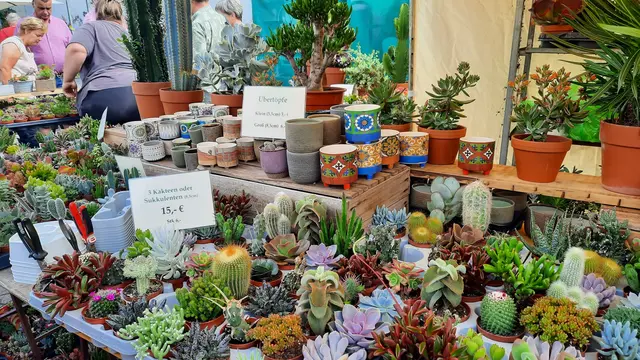 Von Kräutern bis Kakteen – Pflanzenvielfalt auf höchstem Niveau. Mehr als 120 Aussteller präsentieren Pflanzenraritäten, Gartendeko und regionale Produkte. | Foto: Kristin Hätterich