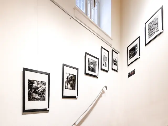 Foto: Johann-Peter Melder