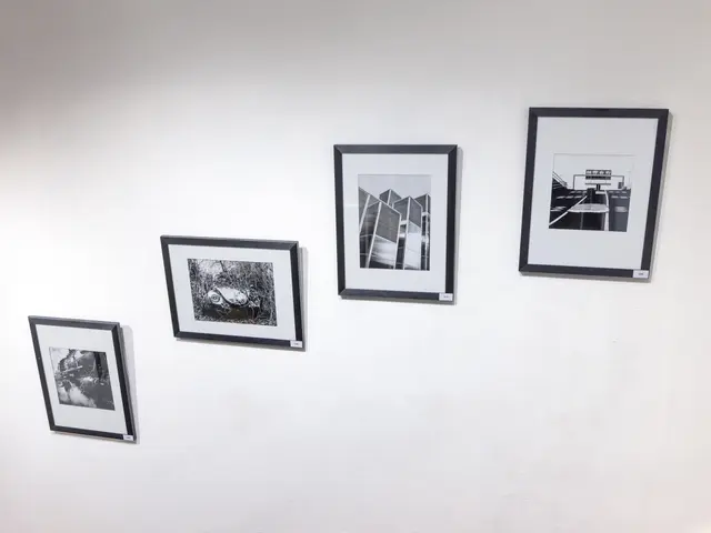 Fotografien im Treppenhaus von Hendrik Schadagies und Holger Lohmann | Foto: Johann-Peter Melder