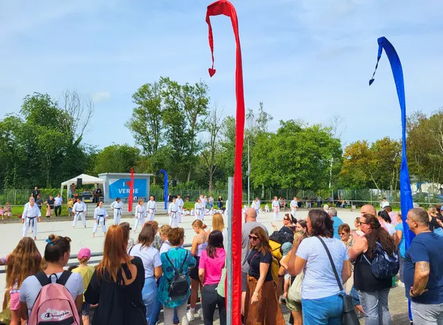 Mitreißende Showeinlagen: Auf der Sparkassen-Showbühne zeigen zahlreiche Vereine ihr Können – wie hier mit Kampfsportvorführungen. | Foto: Stadt Viernheim
