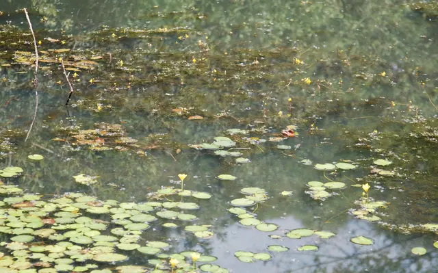 Foto: Daniel Blocher