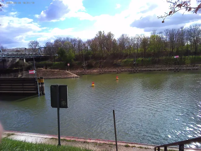 An der Feudenheimer Schleuse. | Foto: Foto: Günther H.P. Hummrich