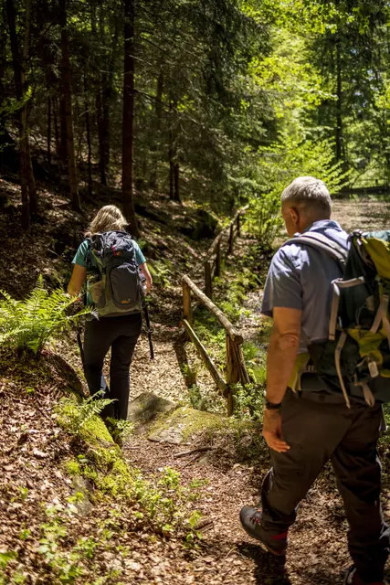 Die neue "Herz und Seele Tour" verläuft durchs romantische Karlstal  | Foto: Landesforsten.RLP.de / J.Fieber