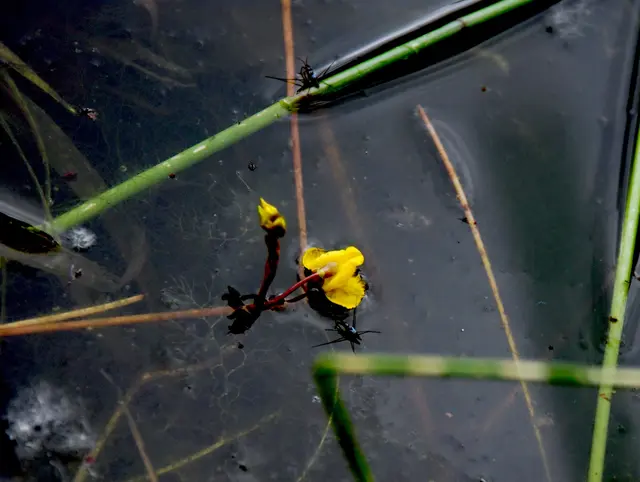 Foto: Daniel Blocher