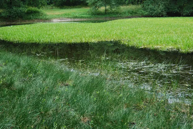 Foto: Daniel Blocher