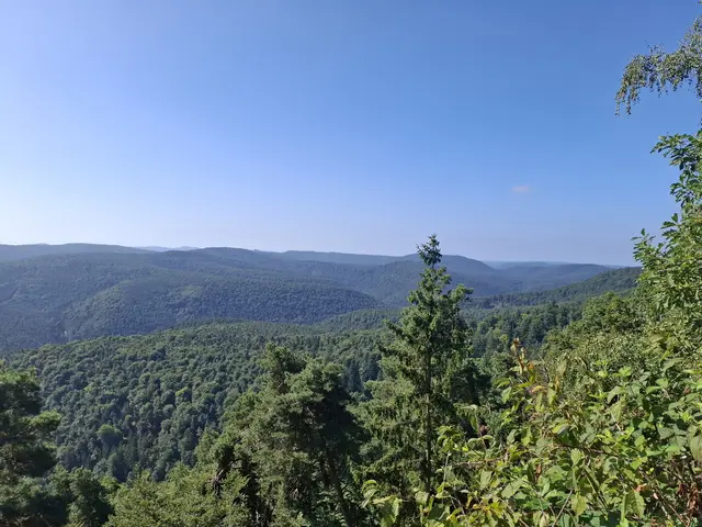 Aussicht vom Rahnfelsen  | Foto: ich