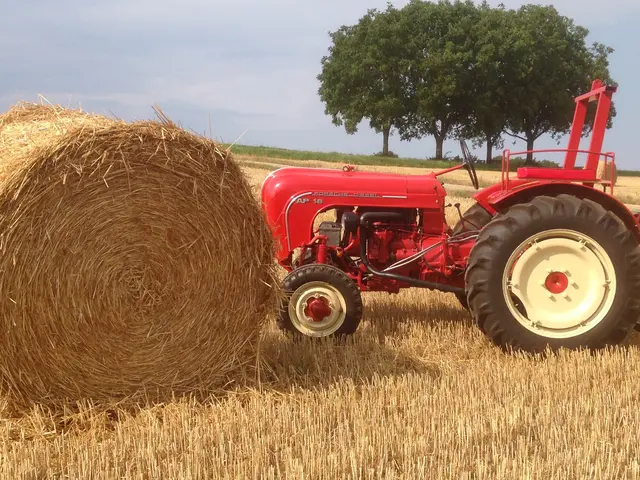 Auch alte Landmaschinen gibt es zu sehen | Foto:  Kulturverein Kapellen-Drusweiler
