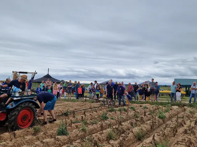 Grumbeerfescht in Rülzheim | Foto: Thomas Ehses/gratis