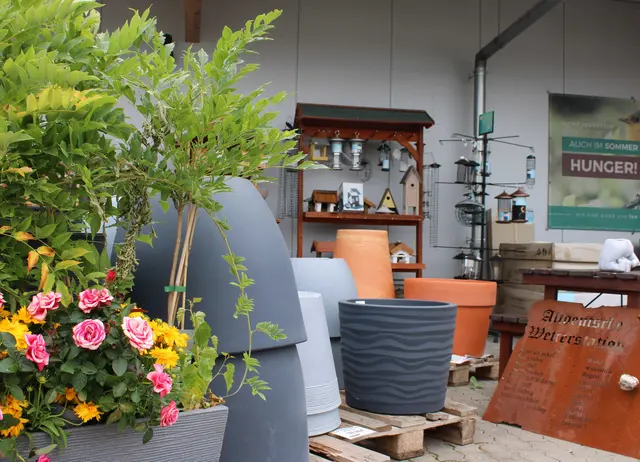 Dekorative Pflanzgefäße, auch für draußen, sind bei Landfuxx erhältlich | Foto: Monika Klein