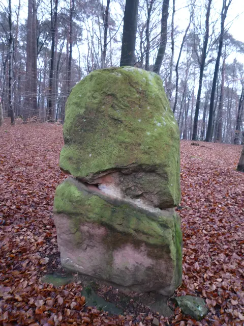 Mehlinger Heide | Foto: Heinrich Schneider